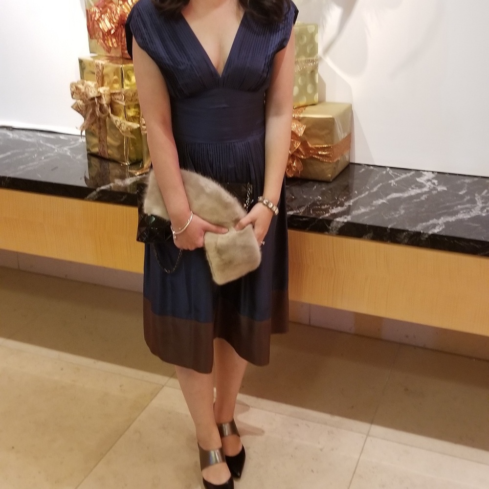 Bcbgmaxazria 100% Silk Party Dress size6